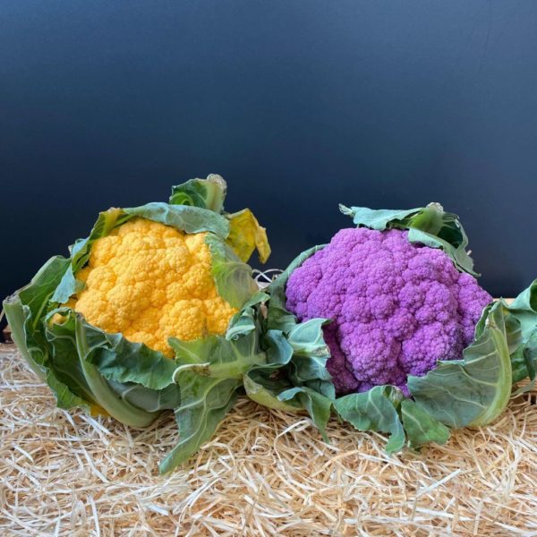 Chou-fleur couleur