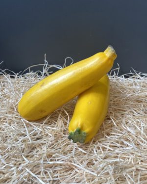 Courgette jaune