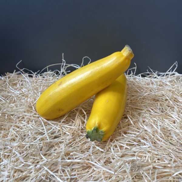 Courgette jaune