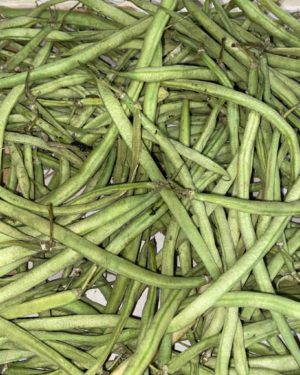 Haricots verts