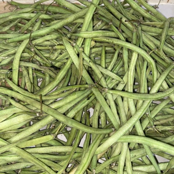 Haricots verts