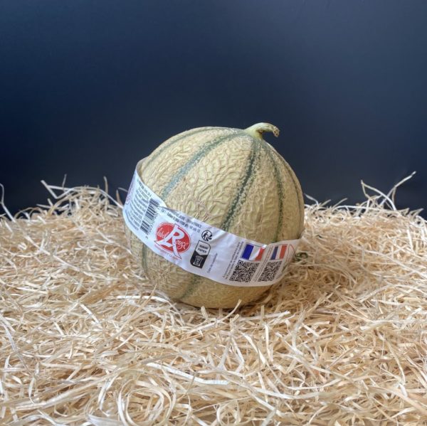 Melon