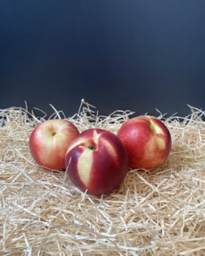 Nectarine blanche