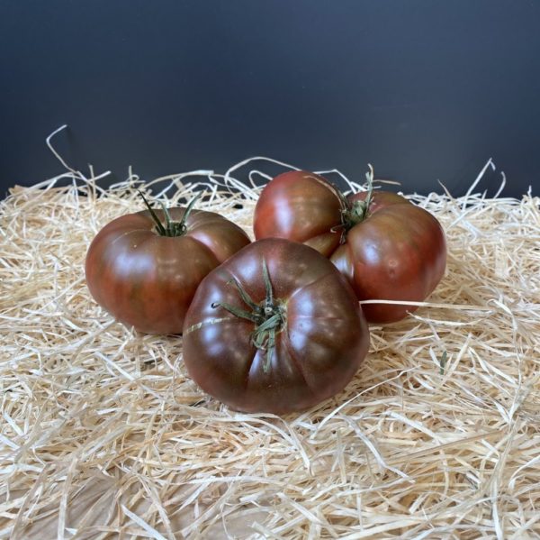 Tomate marquise noire