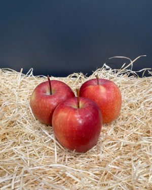 Pomme Scifresh
