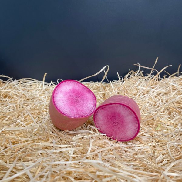 Radis pink meat