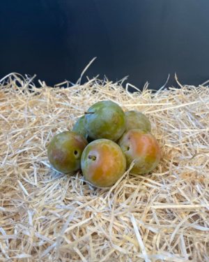 Prune reine claude
