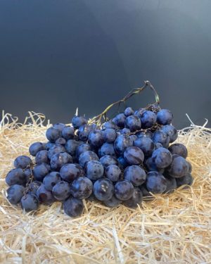 Raisin noir Prima