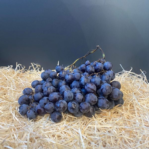 Raisin noir Prima