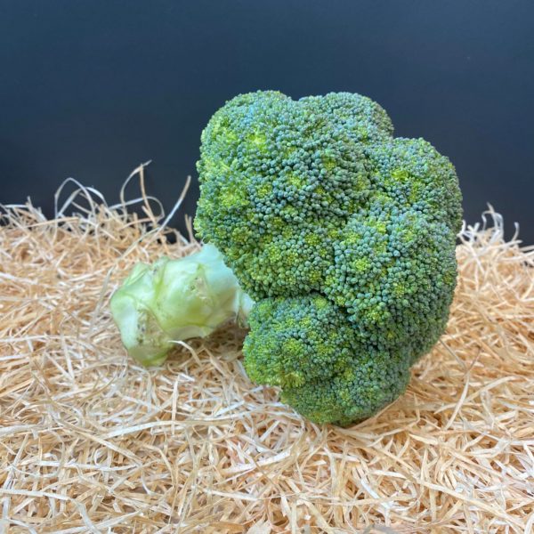 Brocoli