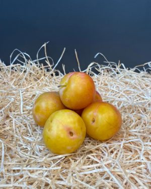 Prune mirabelle