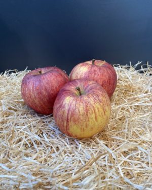 Pomme gala
