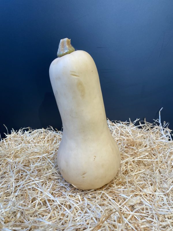 Butternut