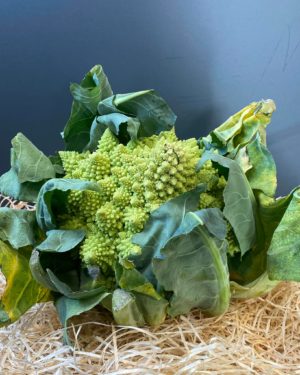Chou romanesco