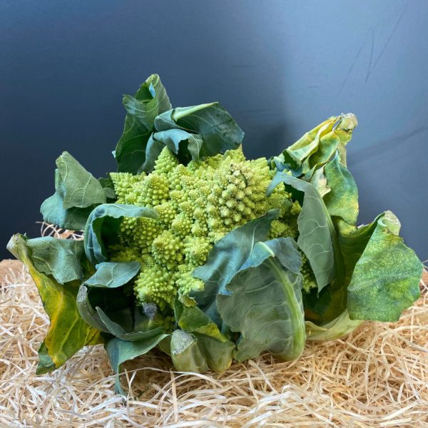 Chou romanesco