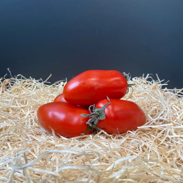 Tomate torino