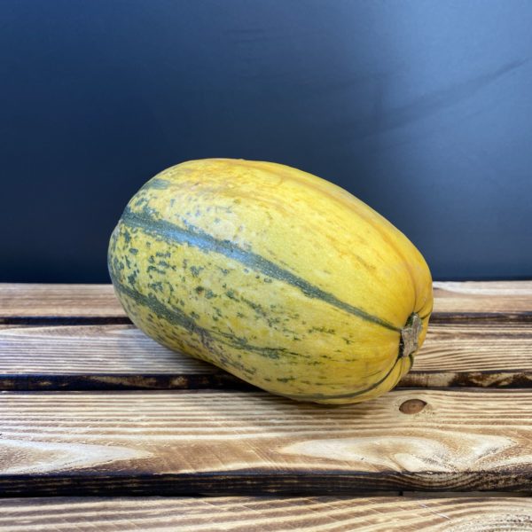 Courge spaghetti