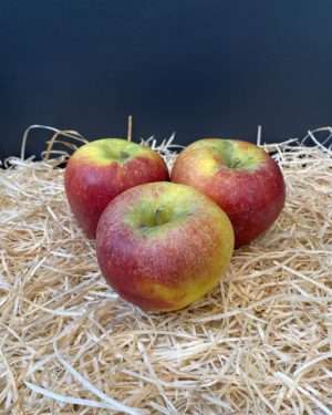 Pomme elstar