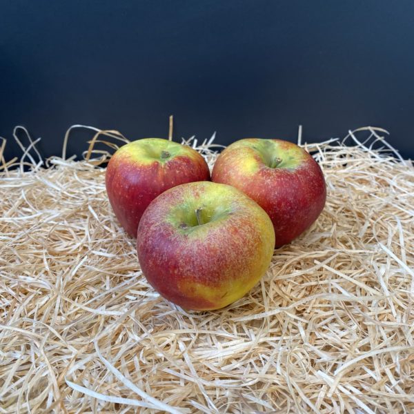 Pomme elstar