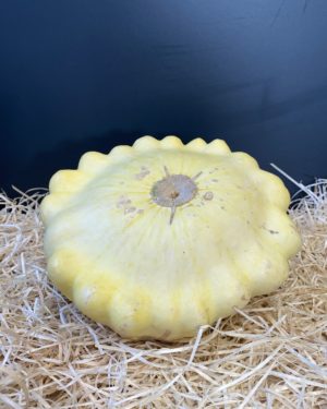 Courge patisson