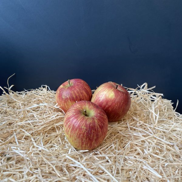 Pomme jonagored
