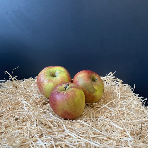 Pomme scifresh