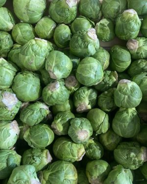 Choux de bruxelles
