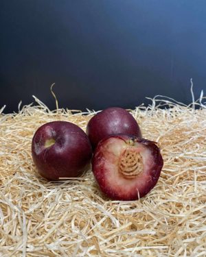 Nectavigne